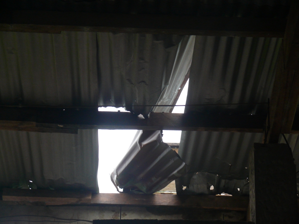 20140719-01-roof 2014.JPG